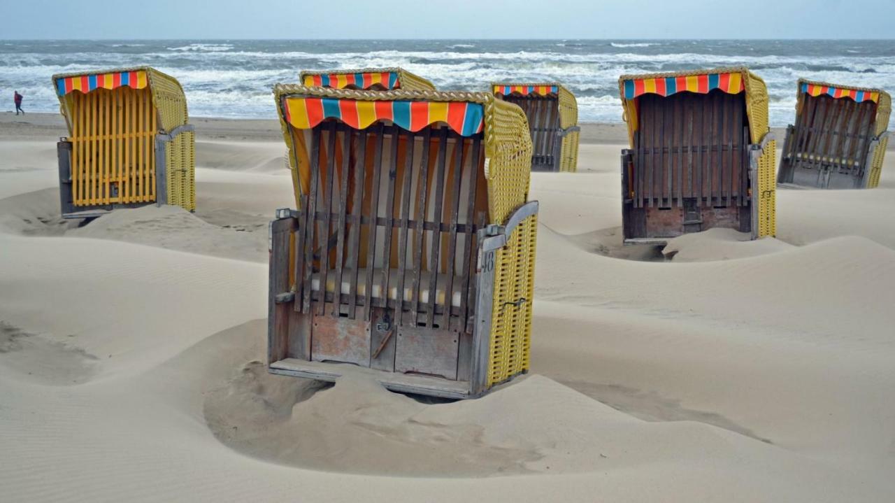 Zeesterflat 117 Egmond aan Zee Kültér fotó